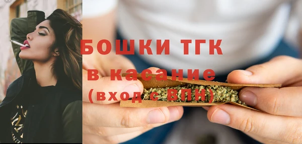 сатива Краснослободск