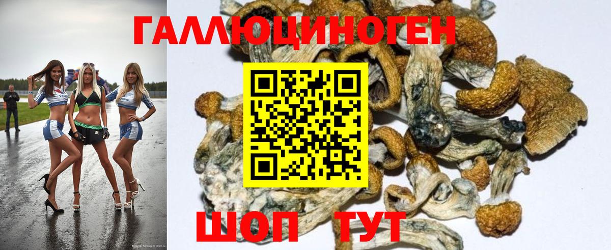 Галлюциногенные грибы Magic Shrooms Малгобек