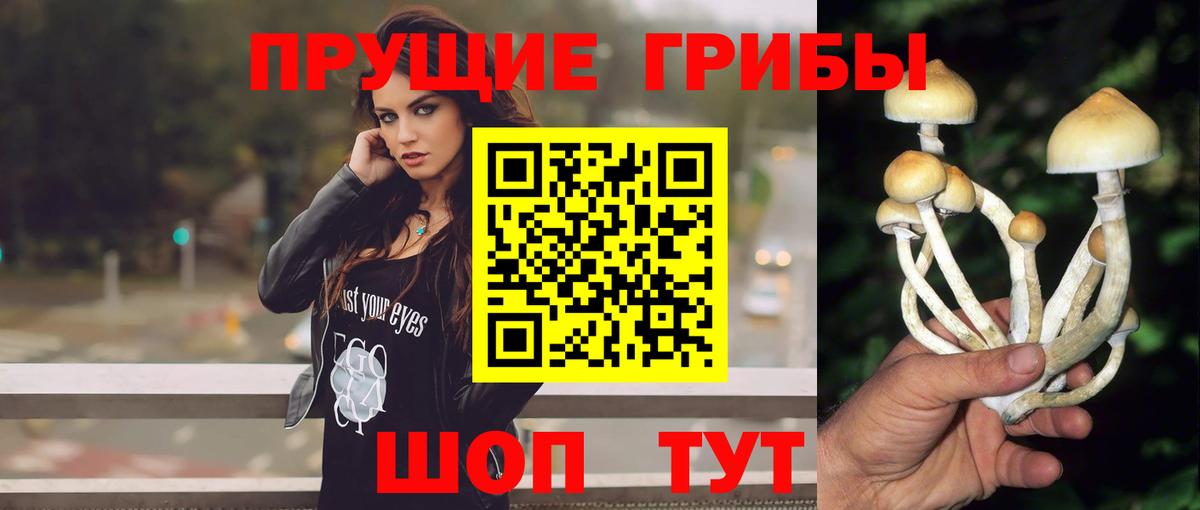 Малгобек  Псилоцибиновые грибы Magic Shrooms  Вход с VPN 